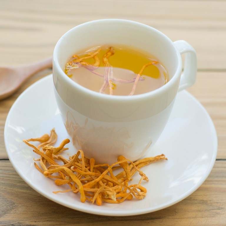 Thưởng thức trà trùng thảo giúp xua tan mệt mỏi Thưởng thức trà trùng thảo giúp xua tan mệt mỏi