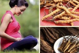 Bà bầu có dùng đông trùng hạ thảo được không?