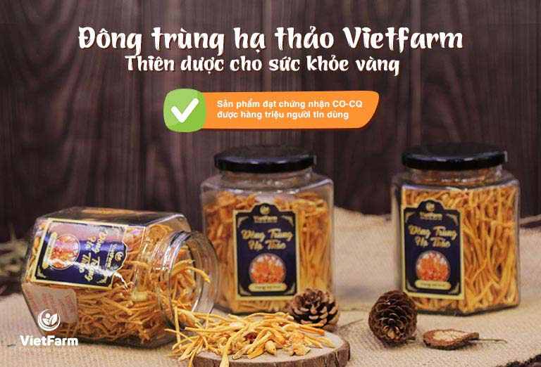 Đông trùng hạ thảo Vietfarm là sản phẩm uy tín được nhiều người lựa chọn