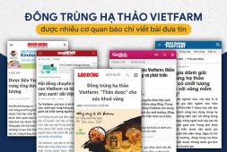 Báo chí đưa tin về đông trùng hạ thảo Vietfarm
