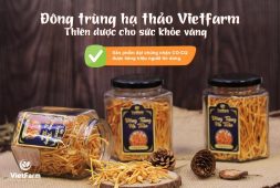 Địa chỉ mua đông trùng hạ thảo uy tín - Vietfarm