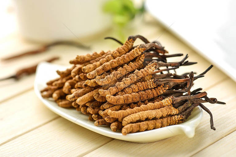 Vietfarm có các sản phẩm đông trùng hạ thảo nhập khẩu