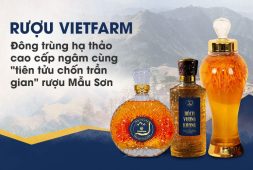 7 lý do khẳng định rượu đông trùng hạ thảo Vietfarm là sản phẩm chất lượng hàng đầu hiện nay 