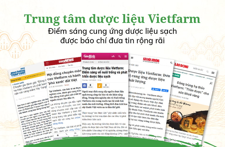 Báo chí đưa tin về đơn vị Vietfarm