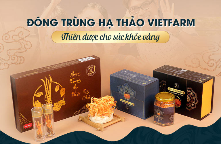 Đông trùng hạ thảo Vietfarm – Món quả sức khỏe của hàng triệu người Việt
